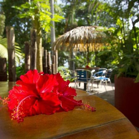 Villas Del Caribe Puerto Viejo de Talamanca Eksteriør bilde