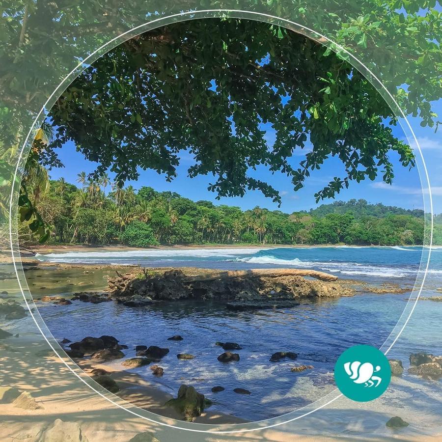 Villas Del Caribe Puerto Viejo de Talamanca Eksteriør bilde