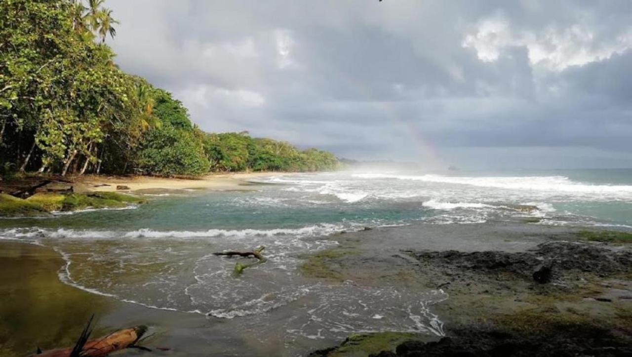 Villas Del Caribe Puerto Viejo de Talamanca Eksteriør bilde