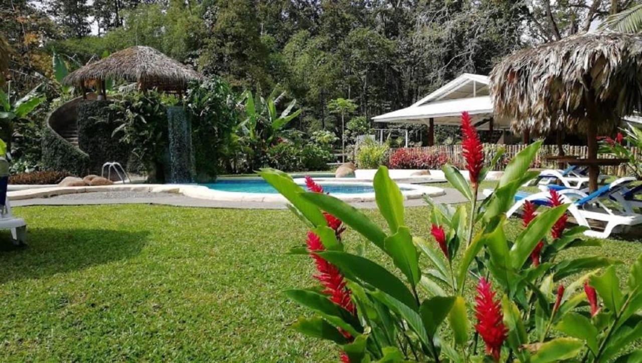 Villas Del Caribe Puerto Viejo de Talamanca Eksteriør bilde