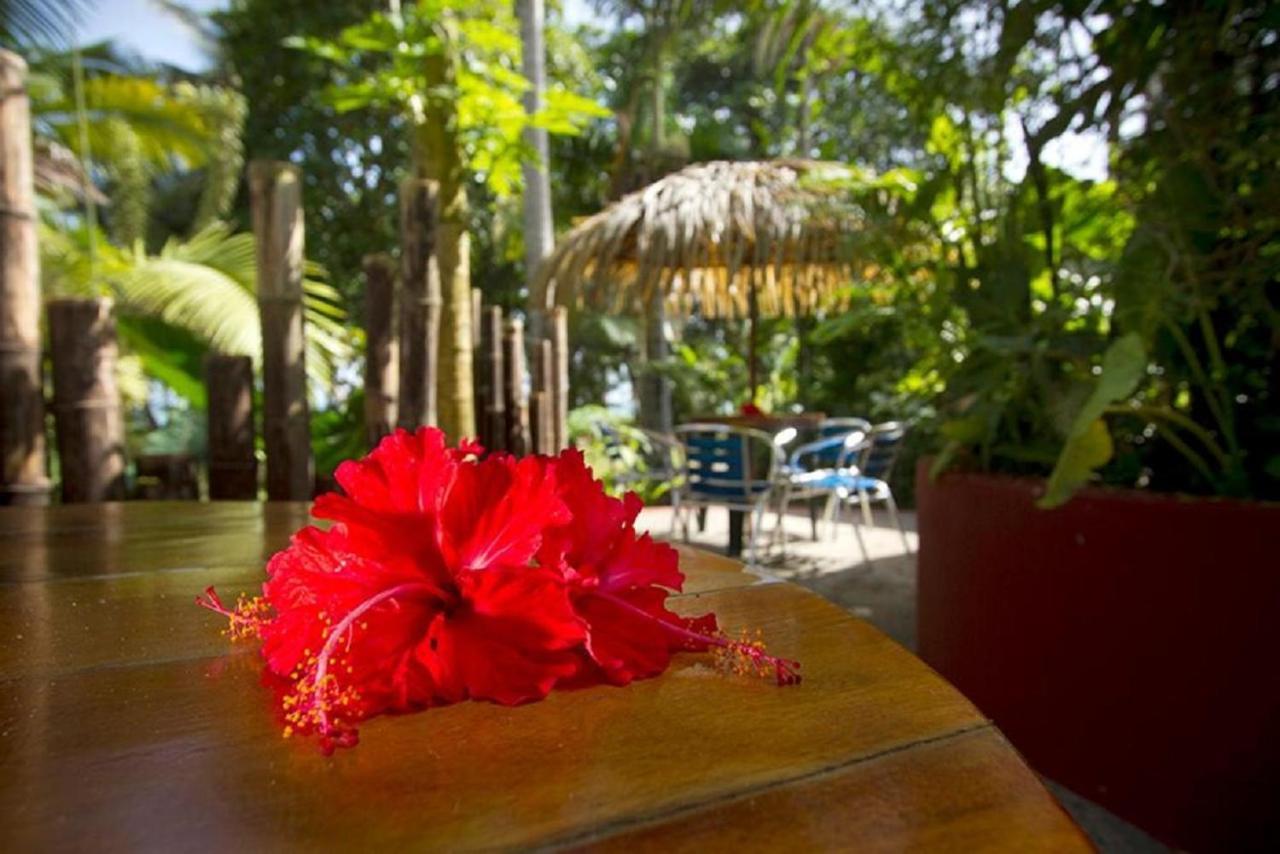 Villas Del Caribe Puerto Viejo de Talamanca Eksteriør bilde