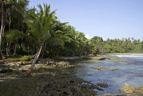 Villas Del Caribe Puerto Viejo de Talamanca Eksteriør bilde